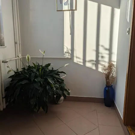 Nova Breka Apartment