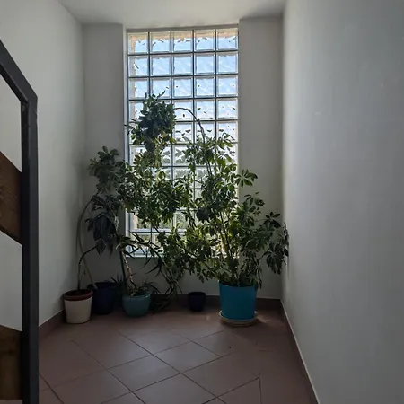 Nova Breka * Sarajewo